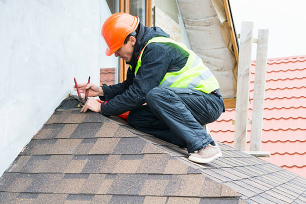 Best Metal Roofing Contractor  in Neuse Forest, NC